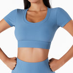 ActiveCurve Sleek & Elegant High Waist Fitness Sportswear Sets