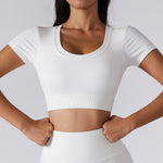 ActiveCurve Sleek & Elegant High Waist Fitness Sportswear Sets