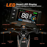 Iron Pegasus™ 2000W Electric 48V Off-Road E-Bike