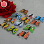 12Pcs Butterfly-Life 3D Home Decoration