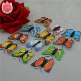 12Pcs Butterfly-Life 3D Home Decoration