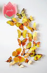 12Pcs Butterfly-Life 3D Home Decoration