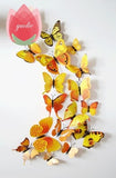 12Pcs Butterfly-Life 3D Home Decoration