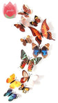 12Pcs Butterfly-Life 3D Home Decoration