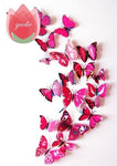 12Pcs Butterfly-Life 3D Home Decoration