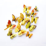 12Pcs Butterfly-Life 3D Home Decoration