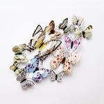 12Pcs Butterfly-Life 3D Home Decoration