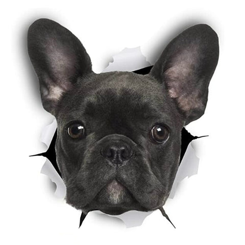 3D French Bulldog Vinyl Sticker Decal 12cm*9cm