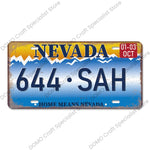 USA State Pride Vintage Licence Plate
